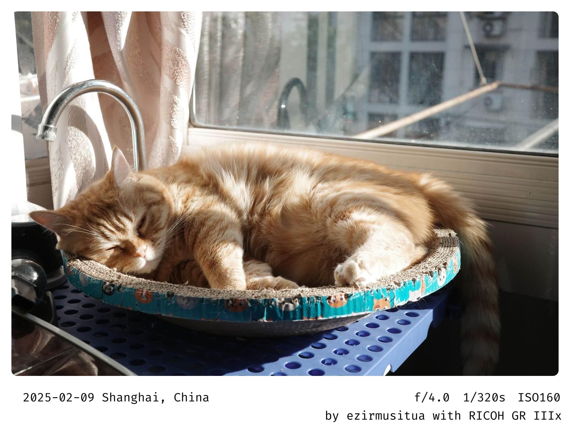 猫咪休息（Cat Resting）  窗边（By the Window）  暖阳（Warm Sunlight）  安静（Quiet）  舒适（Comfortable）  放松（Relaxation）  可爱（Cute）  橘猫（Orange Cat）  水槽（Sink）  睡觉（Sleeping）  和平（Peaceful）  家庭宠物（Pet at Home）  休闲时光（Leisure Time）  温馨（Cozy）  宁静（Serene）  沐浴阳光（Basking in the Sun）  懒洋洋（Lazy）  猫咪生活（Cat Life）  室内环境（Indoor Setting）  猫咪姿势（Cat Pose）  猫咪睡眠（Cat Sleeping）