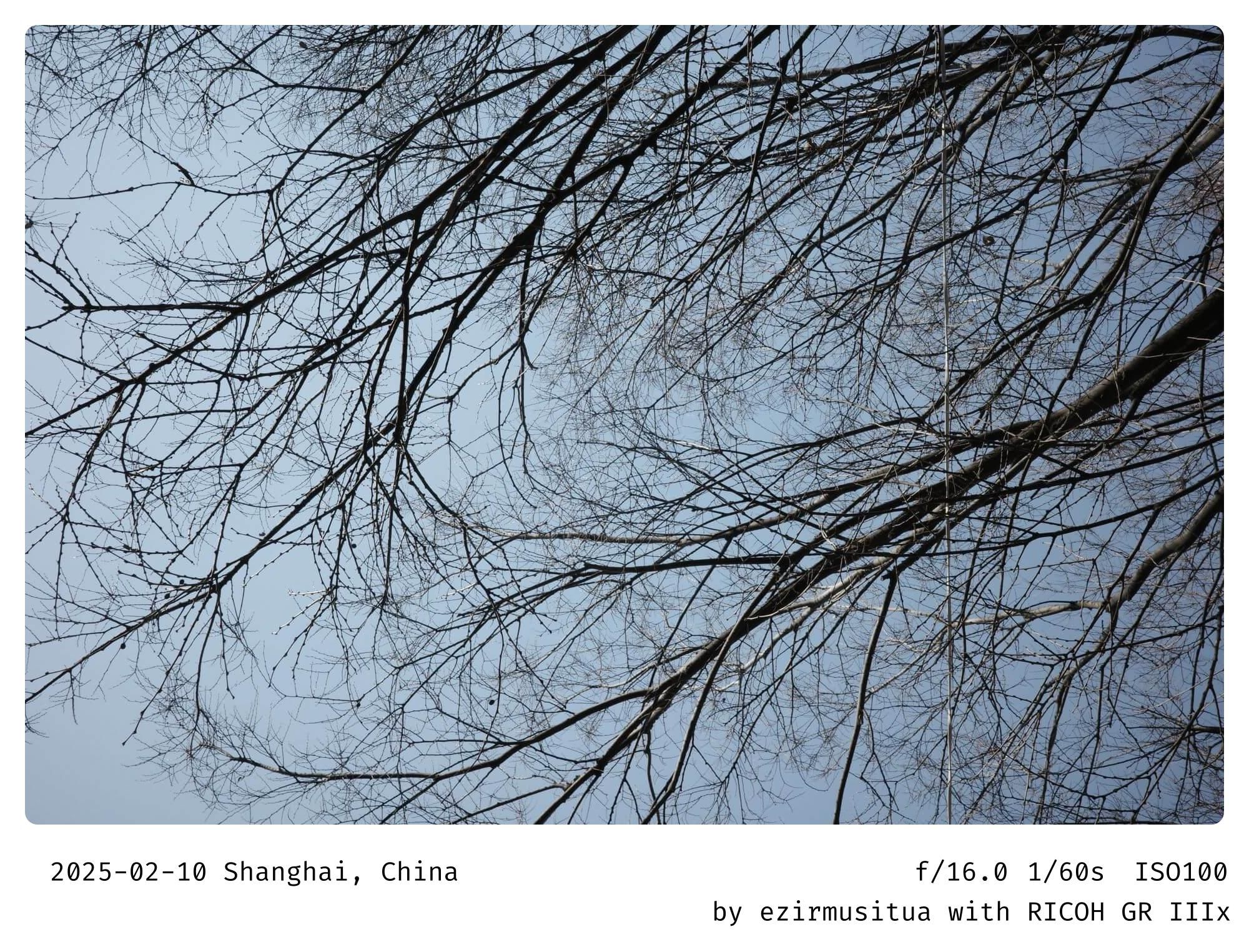 树枝（Branches）  冬天（Winter）  自然（Nature）  蓝天（Blue Sky）  光秃秃的树（Bare Tree）  寂静（Silence）  清晰（Clarity）  简约（Simplicity）  冷静（Calmness）  孤独（Loneliness）  和平（Peace）  静谧（Tranquility）  细枝（Twigs）  复杂（Complexity）  网络（Network）  交错（Interlaced）  树冠（Canopy）  分支（Branching）  生命力（Vitality）  季节变化（Seasonal Change）