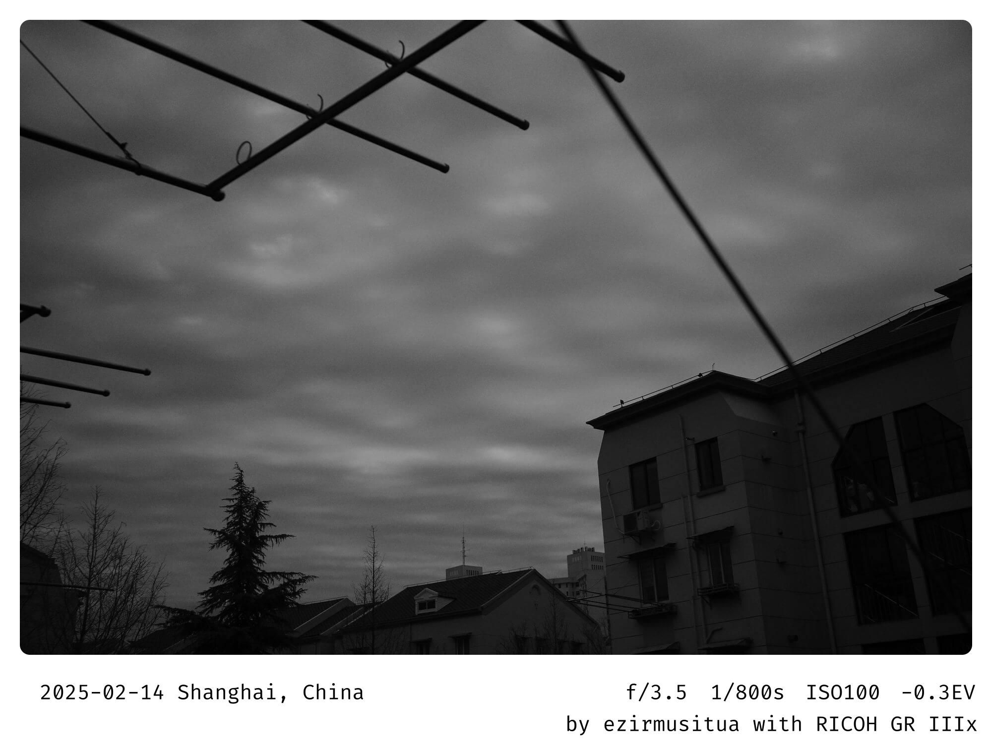 阴天（Overcast）  黑白照片（Black and White）  建筑物（Buildings）  电线（Power Lines）  树木（Trees）  房屋（Houses）  天空（Sky）  沉闷（Dull）  平静（Calm）  简约（Minimalist）  城市景观（Urban Landscape）  阴郁（Gloomy）  冬季（Winter）  寂静（Silence）  经典（Classic）  老旧（Old）  对比（Contrast）  自然（Nature）  结构（Structure）  现代（Modern）  古老（Ancient）